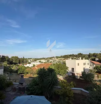 Foto annuncio 52
