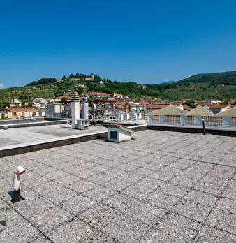 Foto annuncio 14