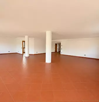 Foto annuncio 12