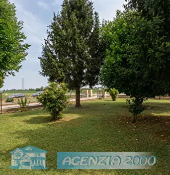 Foto annuncio 48