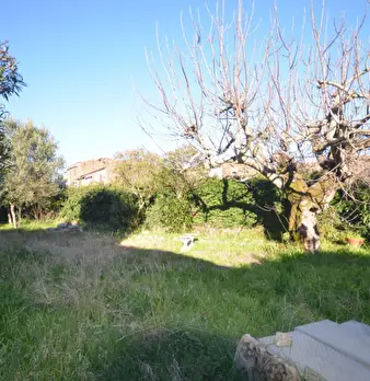 Foto annuncio 18