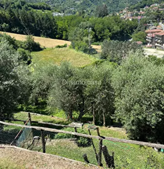Foto annuncio 21