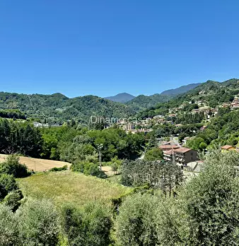 Foto annuncio 23