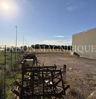 Foto annuncio 8