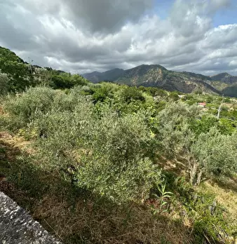 Foto annuncio 12