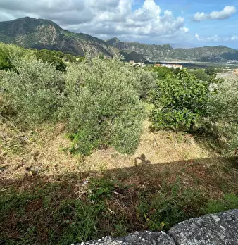 Foto annuncio 13