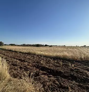 Foto annuncio 4