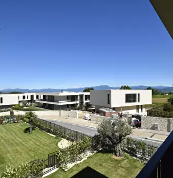 Foto annuncio 11