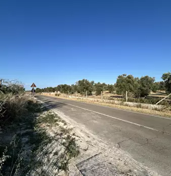 Foto annuncio 2