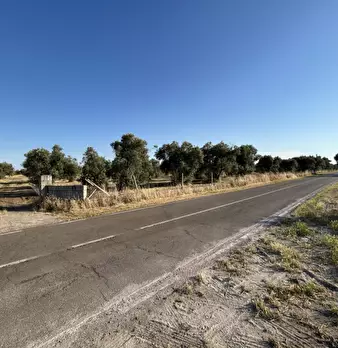 Foto annuncio 3