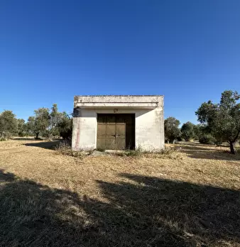Foto annuncio 4