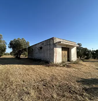Foto annuncio 6