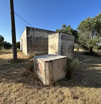 Foto annuncio 7