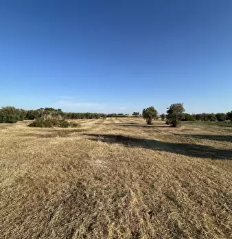 Foto annuncio 12