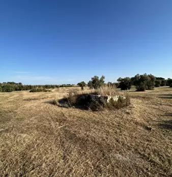 Foto annuncio 13