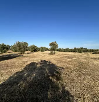 Foto annuncio 14