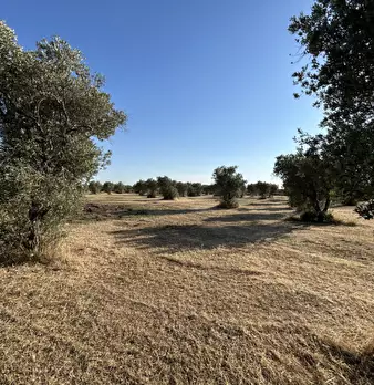 Foto annuncio 16