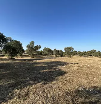 Foto annuncio 20