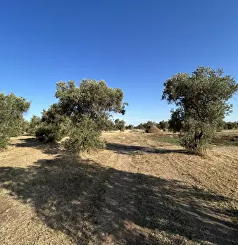 Foto annuncio 21