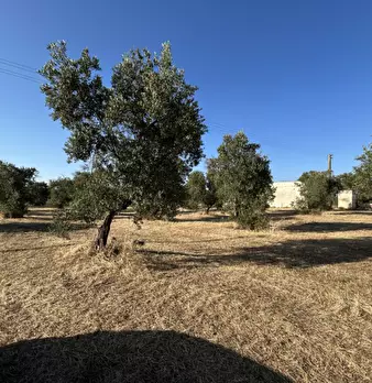 Foto annuncio 22