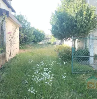 Foto annuncio 5