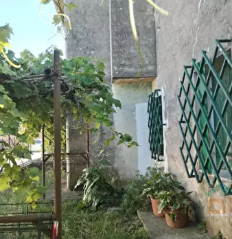 Foto annuncio 8
