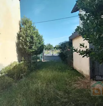 Foto annuncio 9