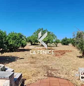Foto annuncio 36