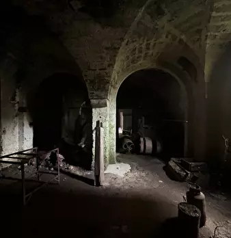 Foto annuncio 11