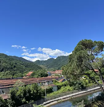 Foto annuncio 4