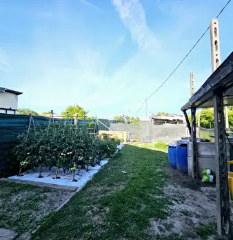Foto annuncio 8