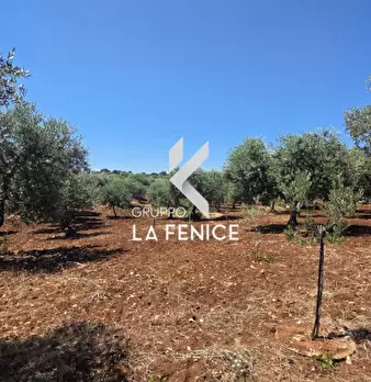 Foto annuncio 11