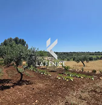 Foto annuncio 14