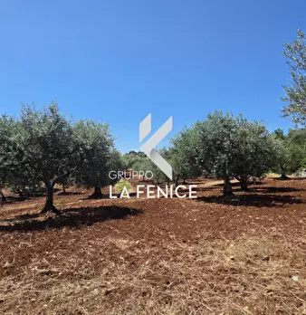 Foto annuncio 17