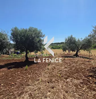Foto annuncio 20