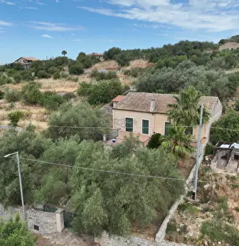 Foto annuncio 19