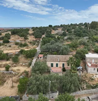 Foto annuncio 29