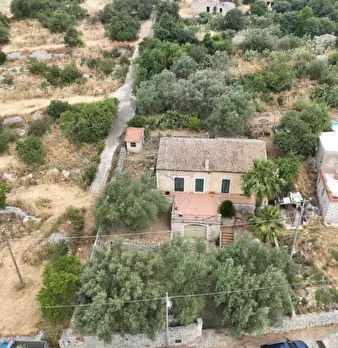 Foto annuncio 42