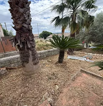 Foto annuncio 43