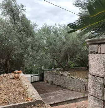 Foto annuncio 44