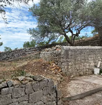 Foto annuncio 49
