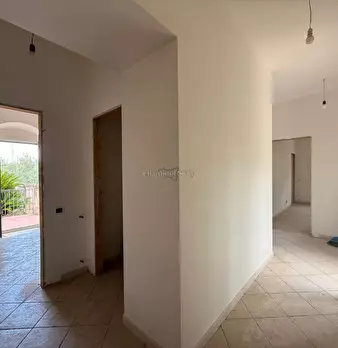 Foto annuncio 60