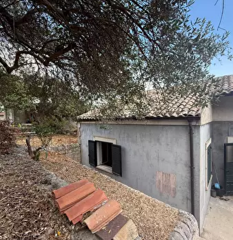 Foto annuncio 71