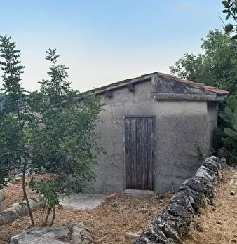 Foto annuncio 74
