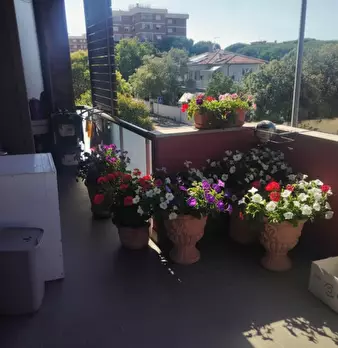 Foto annuncio 2