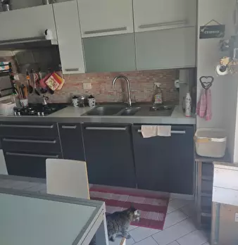 Foto annuncio 7