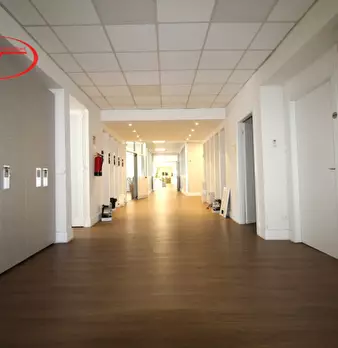 Foto annuncio 10