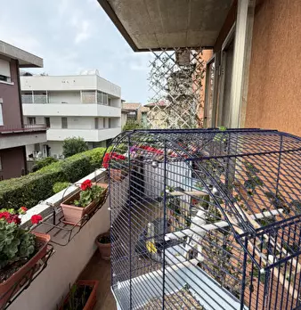 Foto annuncio 22