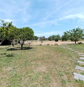Foto annuncio 28