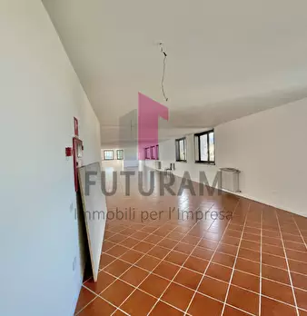 Foto annuncio 12